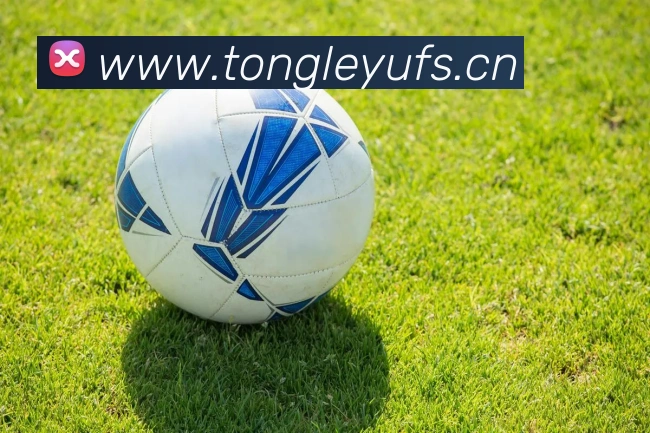 米兰体育官网登陆APP 高清赛事图